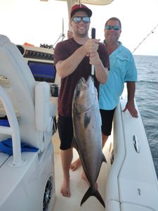 Reef Donkey aka Greater Amberjack was a Brute!